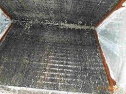 Mold in HVAC coil