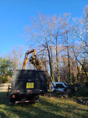 Tree service