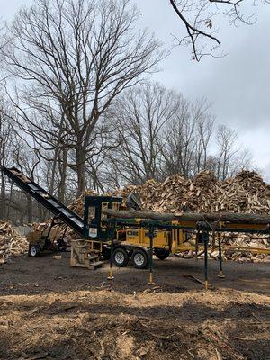 Clean hardwood firewood ready for delivery!!