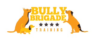 Bully Brigade & All Training