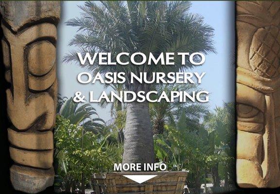 Specimen palms, tropical plants, landscaping and design, Carlsbad, plant installation,