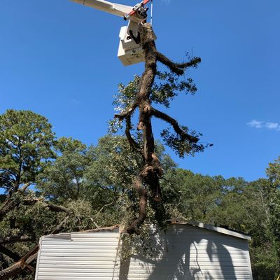 Tree removed from home during storm.