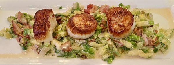 Scallops