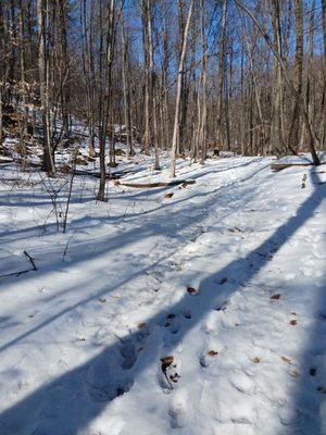 Trail to the graphite mine.