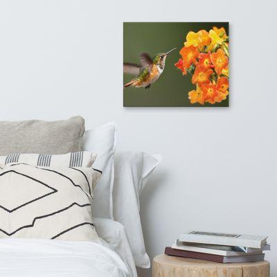 Hummingbird with Little Yellow-Orange Flowers Animal Wildlife Photograph Canvas Wall Art Prints