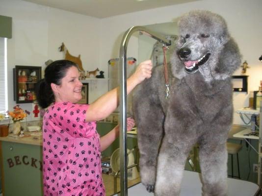 Tamara of Becky's Grooming working on Conner