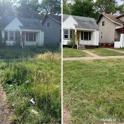 Overgrown yard cleanup