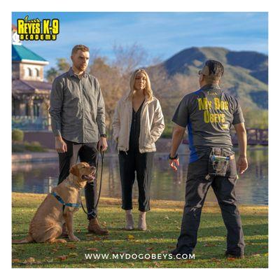 Contact us for more information on our training services! www.mydogobeys.com