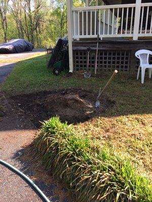 Stump about to be removed.