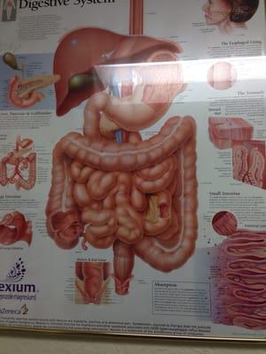 Take care of your digestive system...