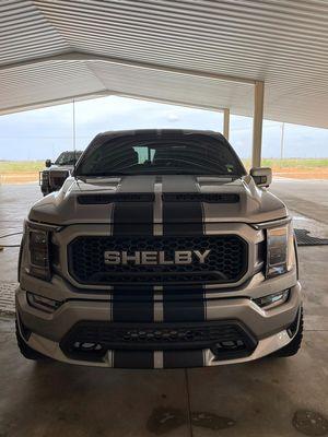 Shelby