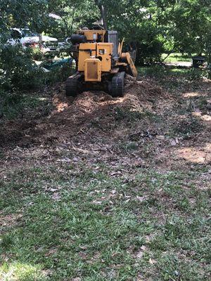 Stump grinding