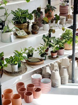 In addition to a variety of unique plants + pots, we also offer repotting services!