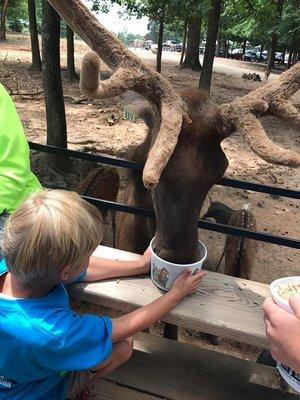 Lazy Five Ranch Field Trip