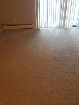 12 year old rental property carpet