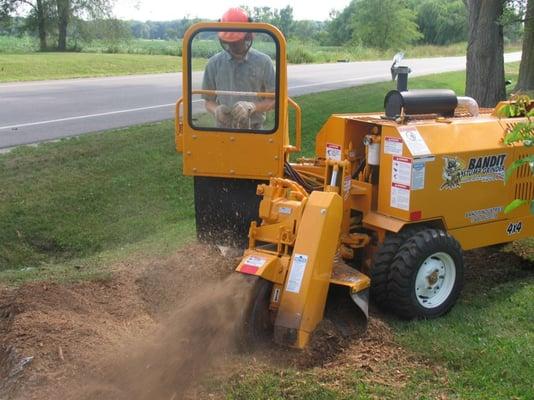 Stump Grinding in Temple, Texas