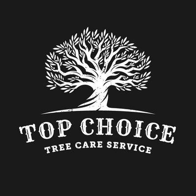 Top Choice Tree Care Service is here to assist with all you tree care needs.