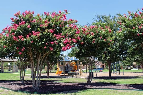 Quail Run Park