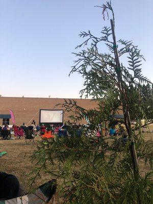 Outdoor Movie Night