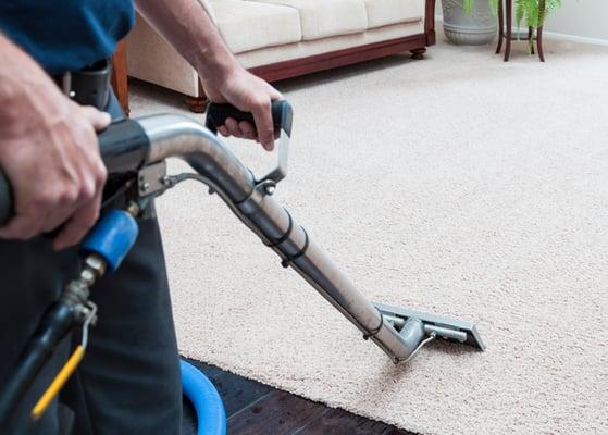 All In One Carpet Cleaning