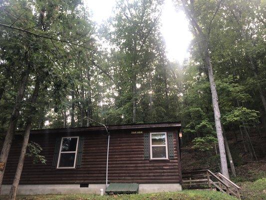 Fawn Cabin - We decided it was a tardis, as it's so much larger inside than it looks from the outside!