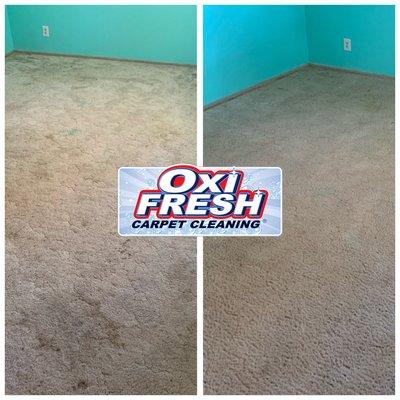 Oxi Fresh Carpet Cleaning