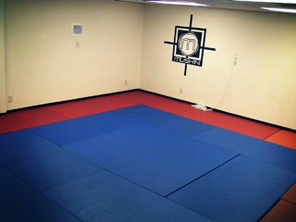 Multiple training areas!  Check out http://www.nolabjj-metairie for a 30 day free trial!