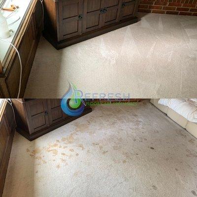 For this client we did a full subsurface extraction to remove all the Urine and make sure it isn't going to come back.