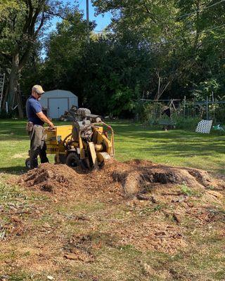 Luigi's Tree Service