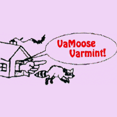 B & R Vamoose Varmint