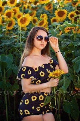 Sunflower photos in Paris Kentucky in 2018.