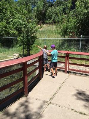 Colorado Wildlife Museum