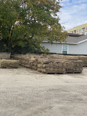 Bermuda Grass Sod Pieces