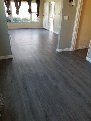 Luxury vinyl plank /w New baseboards