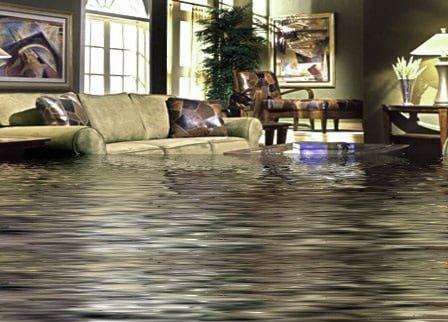 Water Mitigation and Restoration services