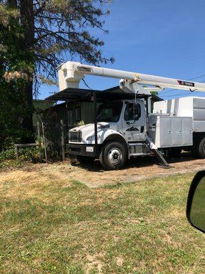 Lake County Tree Service