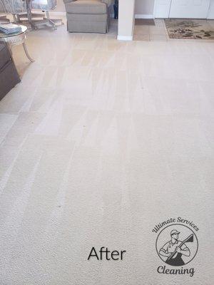 Before And After: Carpet Cleaning