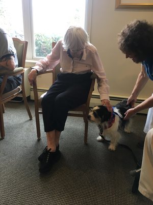 Scruffy the North River Therapy Dog!