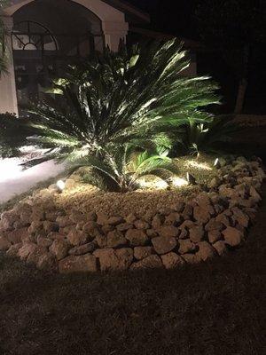 Exterior palm island lighting