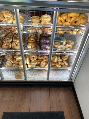 The Bagel Store