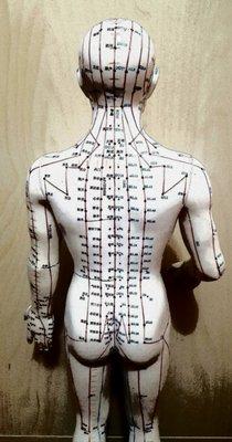 Diagram of acupuncture meridians and points on the back