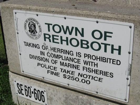 Don't take the herring!