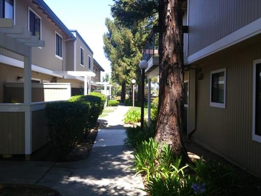 Area leading to the laundry room