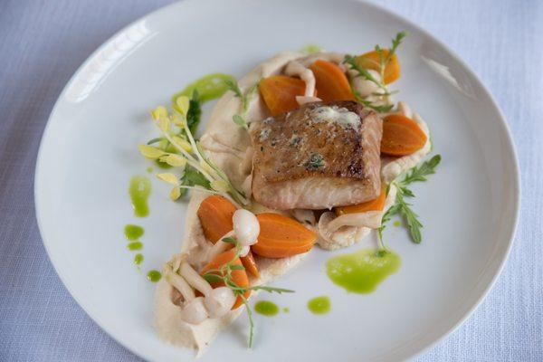 Plated Dinner - Grilled Yellowtail Kampachi, Meyer Lemon And Thyme Butter, Celery Root Puree, Pickled Beech Mushroom, Thumbelina Carrot Conf