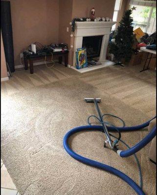 City carpet cleaning