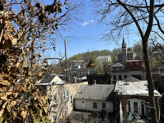 The view from the tree house