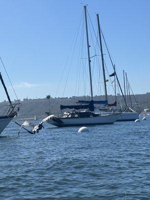 Shelter Island Boat Launch Ramp