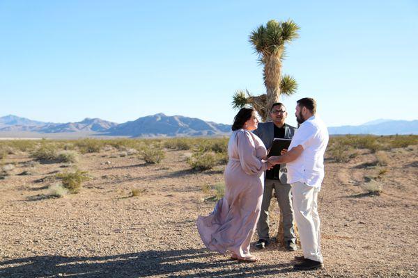 Desert landscape is perfect for a wedding background