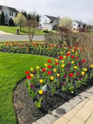 Flower Bed Installation