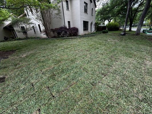 Sod Installation

Lucious fresh St Augustine sod installation with new topsoil .